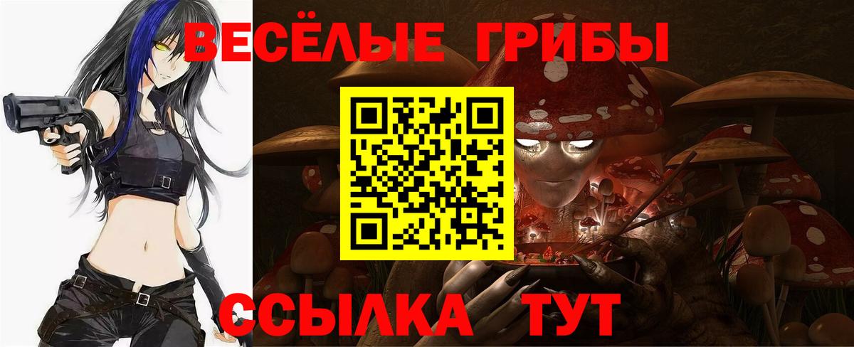 Псилоцибиновые грибы Psilocybine cubensis  Вход с VPN  Галлюциногенные грибы мухоморы  Советск 